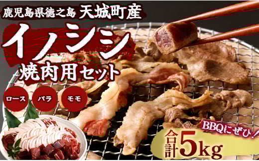 BBQに最適!!