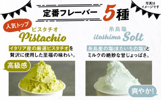 アイス アイスクリーム ジェラート カップ 10個（ ピスタチオ 塩 抹茶 ビターチョコ キャラメル ）