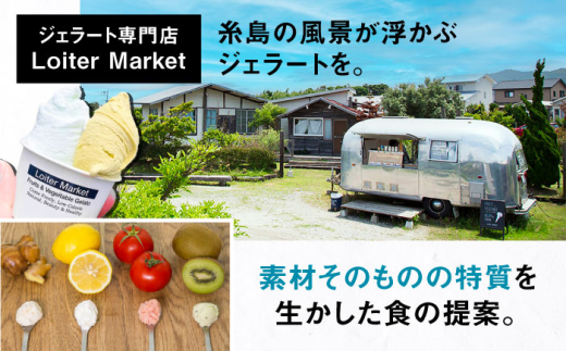 アイス アイスクリーム ジェラート カップ 10個（ ピスタチオ 塩 抹茶 ビターチョコ キャラメル ）