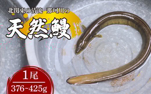 天然鰻 北関東の清流「那珂川産」 1尾 376～425g 真空冷凍 | 鰻 うなぎ ウナギ 天然 天然うなぎ 希少 貴重 鮮魚 新鮮 北関東 清流 蒲焼 かば焼き 白焼き 炭火焼 うな重 うな丼 Riverline 栃木県 茂木町 2090647 - 栃木県茂木町