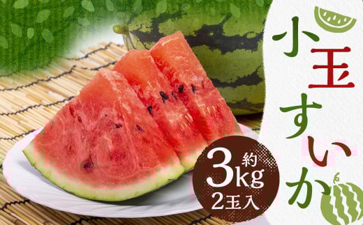 小玉 すいか 2玉入 約3kg[2025年5月下旬〜6月上旬発送予定]