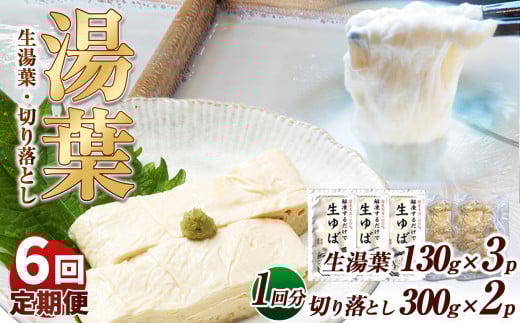 【6回定期便】湯葉（生湯葉・切落し）生湯葉130g×3、切落し300g×2 | 定期便 6回 湯葉 生湯葉 イソフラボン 美と健康のサポート 植物性タンパク質 低カロリー 栃木県 那珂川町 2079881 - 栃木県那珂川町