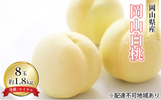 [№5615-0691]桃 2025年 先行予約 岡山 白桃 8玉 約1.8kg 等級：ロイヤル（1玉 220g以上） もも モモ 岡山県産 国産 フルーツ 果物 ギフト デザート 岡山の桃