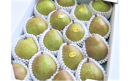 西洋梨(ラ・フランス)5kg 中玉~大玉 0075-2509 336160 - 山形県上山市