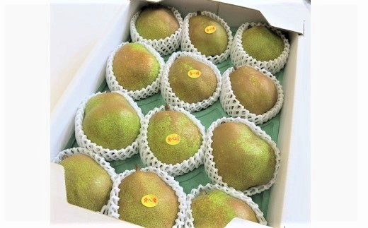 西洋梨(ラ・フランス)6kg 贈答用 0075-2510 317780 - 山形県上山市