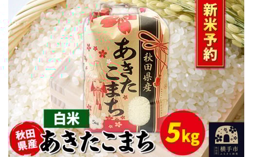 《令和7年産 新米受付》あきたこまち 5kg×1袋【白米】秋田県産 こまちライン 2059669 - 秋田県横手市