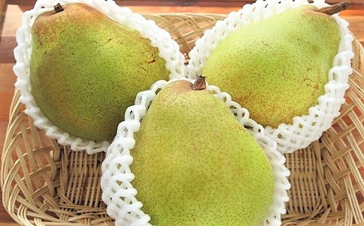 西洋梨(ドワイエンヌ・ドュ・コミス )3.3kg ご家庭用 0075-2506 336161 - 山形県上山市