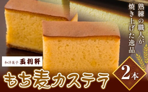 もち麦カステラ 株式会社玉利軒《45日以内に出荷予定(土日祝除く)》岡山県 笠岡市 カステラ もち麦 お土産 和菓子 手土産 送料無料 冷蔵配送 st-p