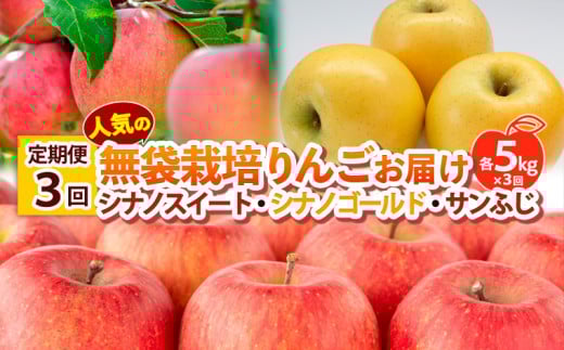 【定期便3回】 人気の無袋栽培りんごお届け 各5kg×3回(シナノスイート、シナノゴールド、サンふじ)  FY25-014