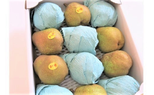 西洋梨（ラ・フランスまたはゴールドラ・フランス）３.５ｋｇ　ご家庭用　0075-2507 870583 - 山形県上山市