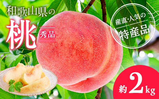 [産直・人気の特産品]和歌山の桃 約2kg・秀品◇ | もも モモ 桃 国産 フルーツ 果物 果実 お取り寄せ ギフト デザート スイーツ 贈り物※2025年6月下旬〜8月上旬頃に順次発送予定※北海道・沖縄・離島への配送不可
