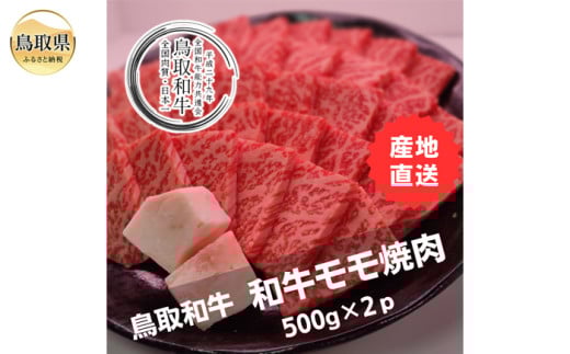 D25-005 鳥取和牛モモ焼肉　冷凍500g×2 2066132 - 鳥取県鳥取県庁