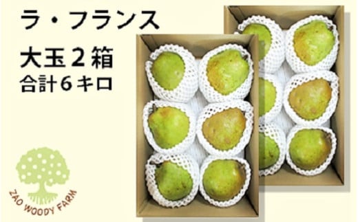 西洋梨（ラ・フランス）６ｋｇ　大玉　ご家庭用　0062-2505 474217 - 山形県上山市