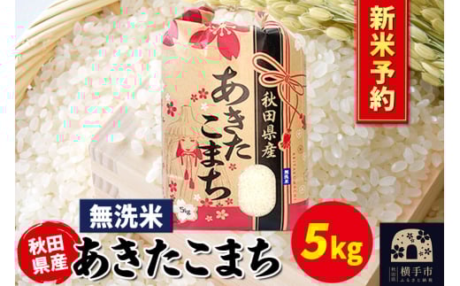 《令和7年産 新米受付》あきたこまち 5kg×1袋【無洗米】秋田県産 こまちライン 2059673 - 秋田県横手市