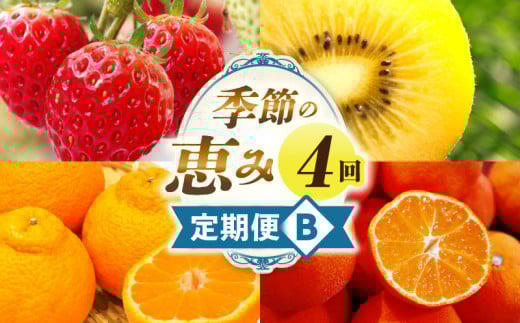 季節の恵み4回定期便B_mk165-t026 2061568 - 香川県三木町
