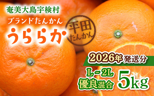 【2026年1月下旬～出荷開始】 《ブランドたんかん》うららか (5kg) 【先行予約】L 2L サイズ 糖度10%以上 タンカン 果物 フルーツ 柑橘 奄美大島 宇検村 鹿児島 2033347 - 鹿児島県宇検村