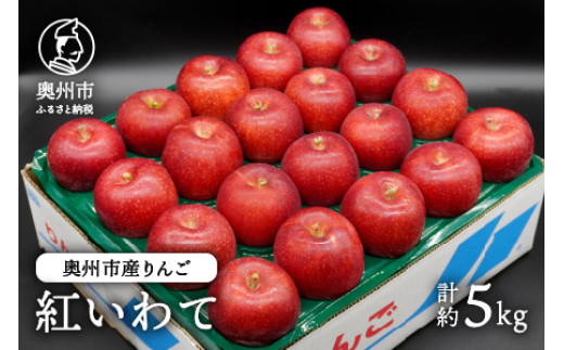 奥州市産りんご 紅いわて 5kg(14~20玉) 【10月上旬以降お届け】 フルーツ 林檎 冷蔵配送 離島配送不可 [AQ024] 531370 - 岩手県奥州市