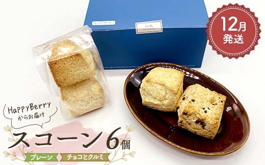 【2025年12月発送】人気店 HappyBerryのスコーン 6個（プレーン4個、チョコとクルミ2個） 焼菓子 スイーツ F6U-152