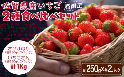 【期間限定】佐賀県産いちご２種食べ比べセット 計1kg（250g×各2パック）［A0176-0001］