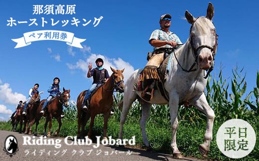 那須高原ホーストレッキング2時間の高原を外乗ペア利用券【平日限定】チケット 利用券 ペア 体験 乗馬　初心者歓迎〔P-100〕