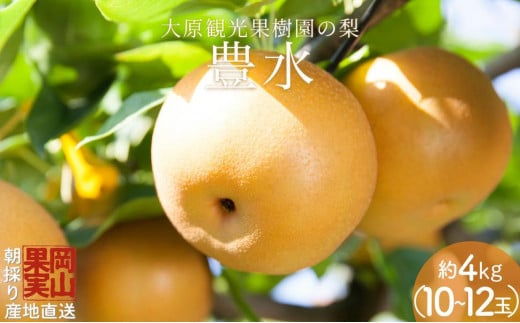【2025年先行予約】［大原観光果樹園］岡山県産 旬の梨（豊水）（約4kg 10～12玉）