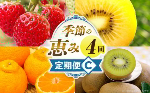 季節の恵み4回定期便C_mk165-t027 2061569 - 香川県三木町