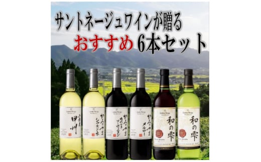 ワイン サントネージュワインが贈る おススメ 6本 セット _ ふるさと納税 ふるさと ワイン 赤ワイン 白ワイン ソーヴィニヨン シャルドネ お酒 酒 アルコール 山梨県 山梨市 山梨 ギフト プレゼント 贈り物 飲み比べ 詰め合わせ 送料無料【1400787】 846474 - 山梨県山梨市