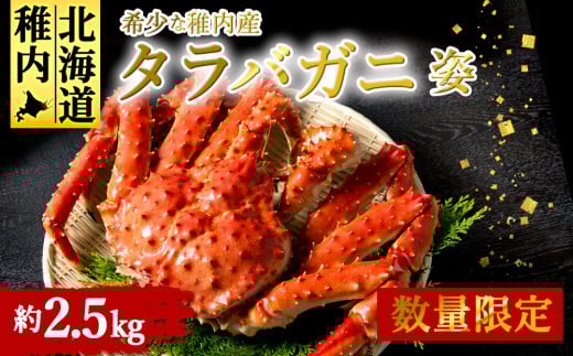 稚内産　特大ボイルたらばがに姿　約2.5kg 679494 - 北海道稚内市