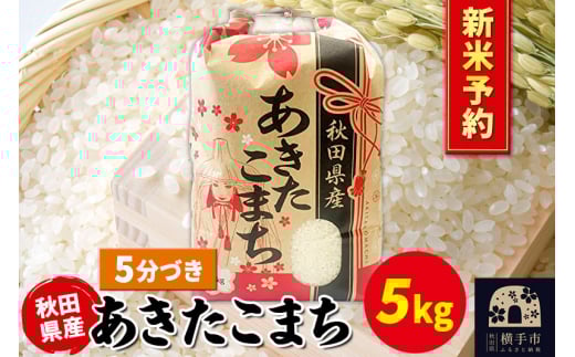 《令和7年産 新米受付》あきたこまち 5kg×1袋【5分づき】秋田県産 こまちライン 2059681 - 秋田県横手市
