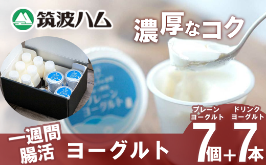【筑波ハム】一週間腸活ヨーグルトギフトセット【 筑波ハム ヨーグルト ドリンクヨーグルト 乳 腸活 美容 健康 ギフト 贈答 茨城県産 国産 つくば市 】 2101552 - 茨城県つくば市