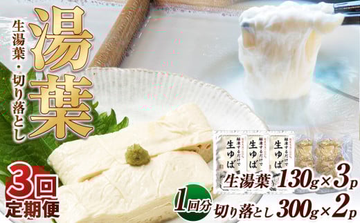 【3回定期便】湯葉（生湯葉・切落し）生湯葉130g×3、切落し300g×2 | 定期便 3回 湯葉 生湯葉 イソフラボン 美と健康のサポート 植物性タンパク質 低カロリー 栃木県 那珂川町 2079876 - 栃木県那珂川町