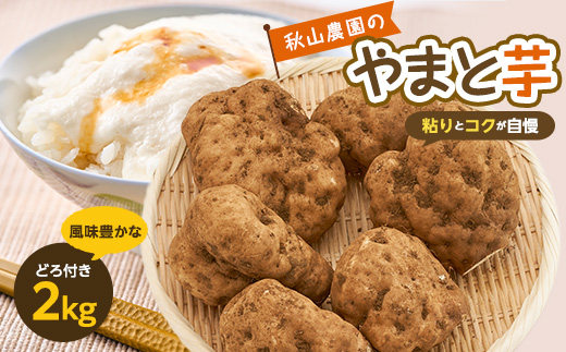 やまと芋の町!多古から「秋山農園のやまと芋」2kg(どろ付き)【1459872】 1158104 - 千葉県多古町