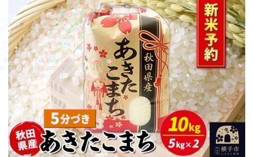 《令和7年産 新米受付》あきたこまち 10kg(5kg×2袋)【5分づき】秋田県産 こまちライン 2059682 - 秋田県横手市
