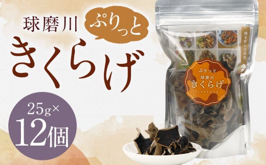 新発売!人吉球磨産の『ぷりっと球磨川きくらげ』25g×12ヶセット きくらげ キクラゲ 木耳 乾燥きくらげ 国産 2055738 - 熊本県人吉市