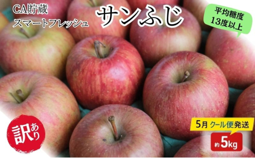 りんご 【5月クール便発送】 平均糖度13度以上 訳あり SF CA貯蔵 サンふじ 約 5kg 【 弘前市産 青森りんご 】 リンゴ 林檎 ふじ 果物 くだもの フルーツ 弘前 青森