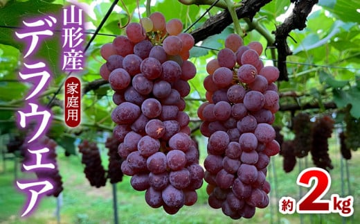 【家庭用】デラウェア 約2kg 12～16房 FY25-001
