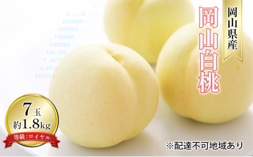 [№5615-0690]桃 2025年 先行予約 岡山 白桃 7玉 約1.8kg 等級：ロイヤル（1玉 260g以上） もも モモ 岡山県産 国産 フルーツ 果物 ギフト デザート 岡山の桃