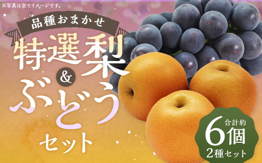 数量限定 よらん野 特選梨とぶどうセット(品種おまかせ)