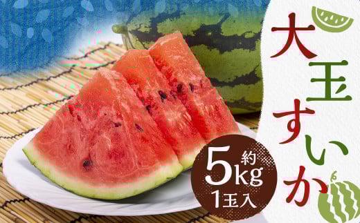 大玉 すいか 1玉入 約5kg【2025年4月下旬~7月上旬発送予定】