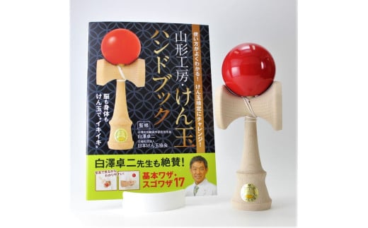 福祉けん玉「大晴」赤_F113