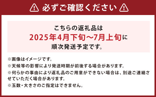 大玉 すいか 1玉入 約5kg【2025年4月下旬～7月上旬発送予定】