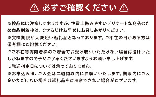 大玉 すいか 1玉入 約5kg【2025年4月下旬～7月上旬発送予定】