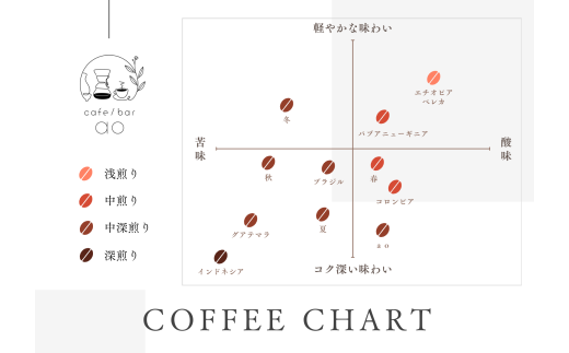 グアテマラ ゴールデンパレンシア リオ ウォッシュド ( 中深煎り ) 400g (200g×2) コーヒー 珈琲