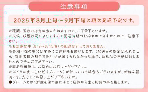 数量限定 よらん野 特選梨とぶどうセット(品種おまかせ)