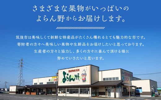 数量限定 よらん野 特選梨とぶどうセット(品種おまかせ)