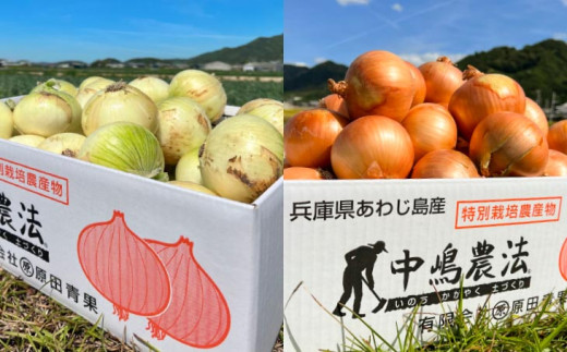 原田兄弟の一番玉ねぎ　10kg
