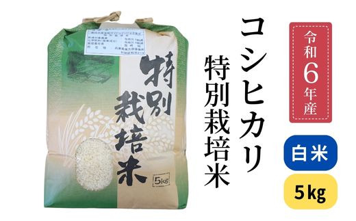 兵庫県香美町産コシヒカリ　特別栽培米　精米5kg