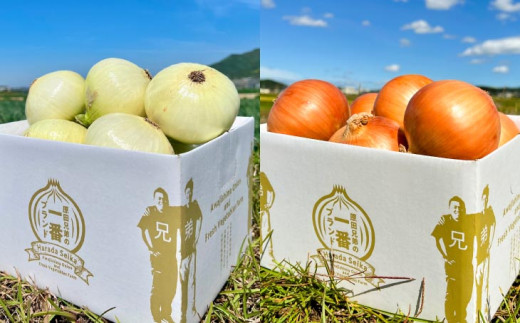 原田兄弟の一番玉ねぎ　３kg