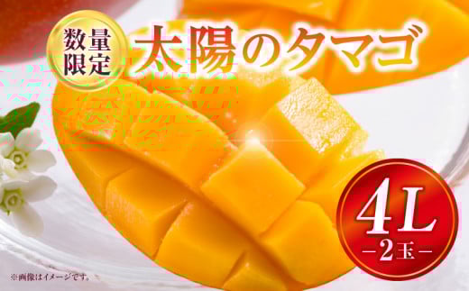 《2025年発送》【期間・数量限定】太陽のタマゴ 4Lサイズ 2玉_M354-001-03 1951628 - 宮崎県宮崎市