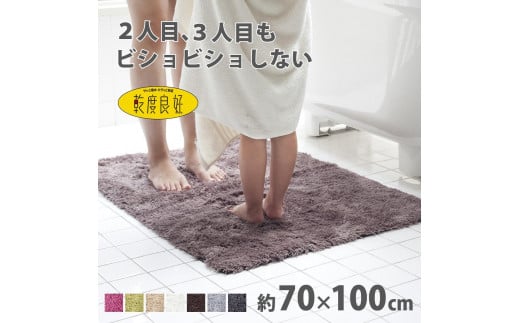 乾度良好 Dナチュレ バスマット 約70×100cm ブラウン 吸水速乾 裏面すべり止め加工 抗菌防臭 洗える 足拭きマット 2070441 - 和歌山県海南市